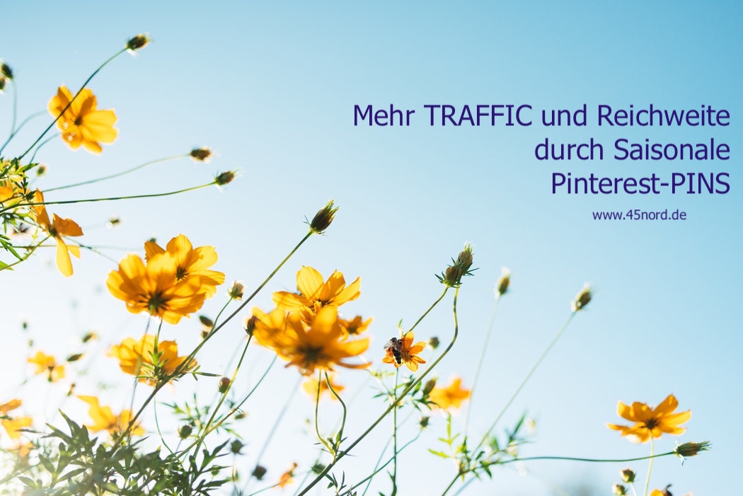 PINNST du schon? Mehr Traffic und Reichweite mit saisonalen Pinterest-PINS 14