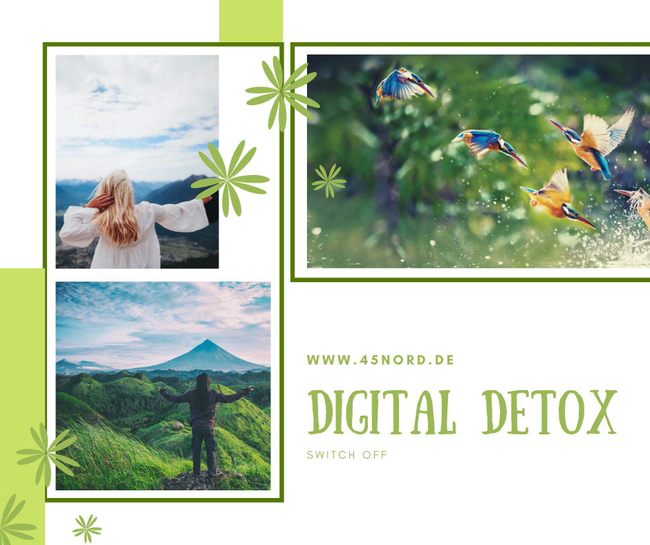 Digital DETOX: reboot, recharge and revitalise! 16